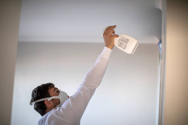 Best Emergency Mold Removal  in Watertown, NY