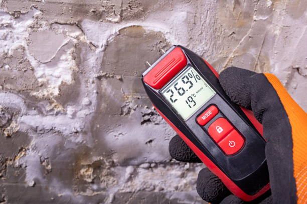 Best Certified Mold Removal  in Watertown, NY