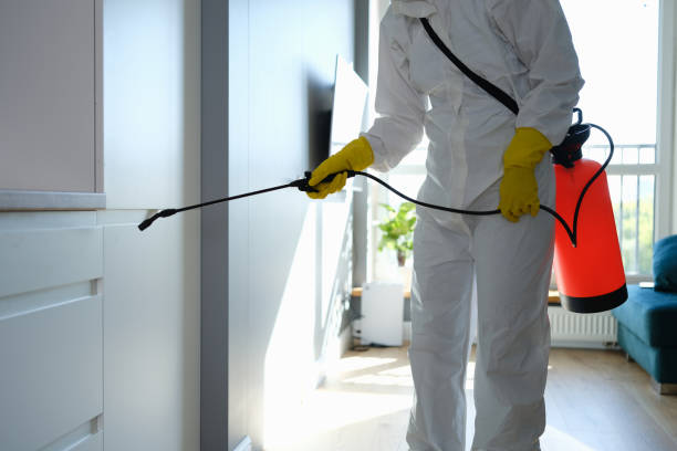 Best Mold Testing  in Watertown, NY